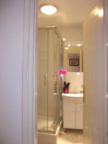 ヘーヴィーズにあるRózsa Apartmanのバスルーム(ガラス張りのシャワー、シンク付)