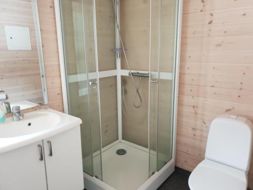 a shower in a bathroom with a sink and a toilet at Nedre Strand Hytteutleie in Vradal