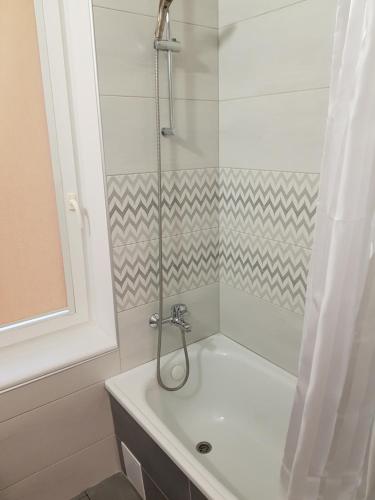 a bathroom with a shower with a sink and a tub at Apartament Gdańska in Gdańsk