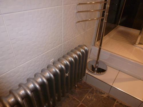 a metal radiator in a bathroom with a shower at Hedgefield House in Gateshead