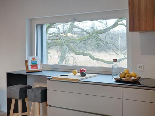 a window in a kitchen with a bowl of fruit on a counter at Swiss Lake Lodge in Noville