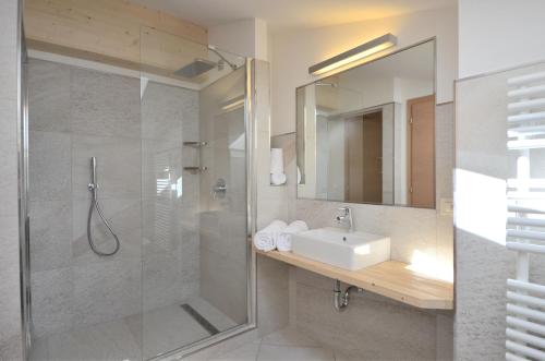 a bathroom with a shower and a sink and a mirror at Mason La Zondra in Vigo di Fassa