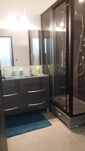 uma casa de banho com um chuveiro, 2 lavatórios e uma cabina de duche em vidro. em Rez de jardin - Calme et nature aux portes de Grenoble em Corenc