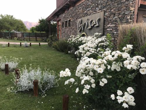 Gallery image of Brisas de Nono in Nono
