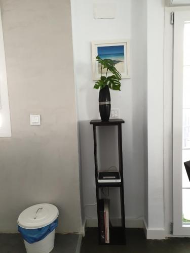 Moderno y Luminoso Apartamento