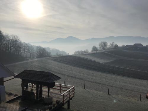 a view of a farm field with the sun in the sky at Tourist farm Artisek in Štore
