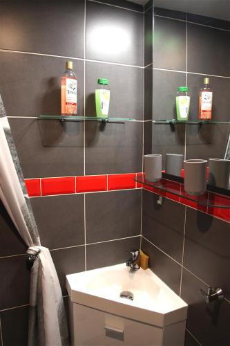 La salle de bains est pourvue d'un lavabo et d'étagères avec du savon. dans l'établissement Le logis de l'hermine, à Blois