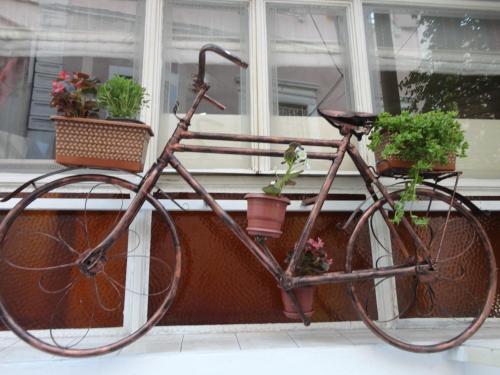a bike parked in front of a window with potted plants at Olimpiyat Hotel Izmir in Izmir