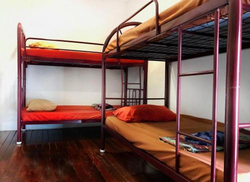Двуетажно легло или двуетажни легла в стая в QuiikCat