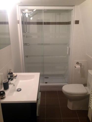 a bathroom with a shower and a toilet and a sink at Les Chambres d'Hotes chez Alisa et Daniel in Sarlat-la-Canéda