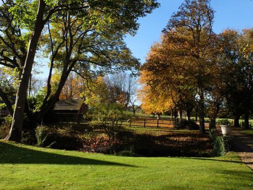 un parco con alberi e una panchina nell'erba di The Thatched Barn a Thame
