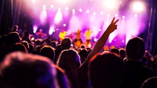 an image of a crowd at a concert at Highland Village Resort in Dharmsala