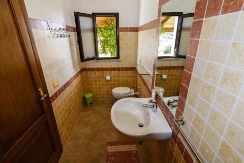 a bathroom with a sink and a toilet at Agriturismo Lu Nodu in Greuli 