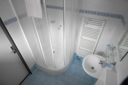 a bathroom with a shower and a white toilet at Hotel Atlas in Pec pod Sněžkou