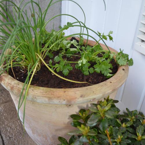 a wooden planter with plants in it at Balnearn House in Aberfeldy
