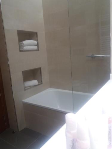 a bathroom with a shower with a toilet and towels at Hotel Balneario Valle del Jerte in Valdastillas