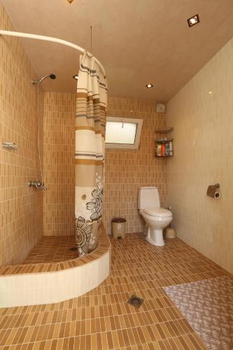 a bathroom with a shower and a toilet at Guesthouse ''Ashot Shalunts'' in Goris