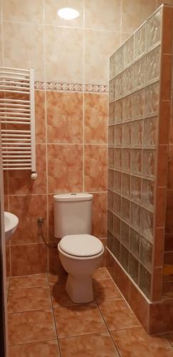 a bathroom with a toilet and a sink at Zacisze Konopnickiej in Pobierowo