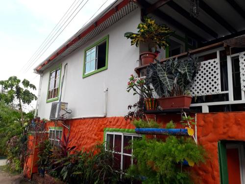 an orange and white building with plants on it at Posada Ashanty in Providencia