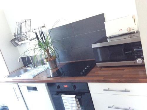 le gambetta photo 17