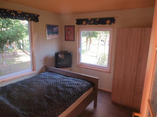 a bedroom with a bed and a tv and two windows at Sodyba Brazylija in Taraldžiai