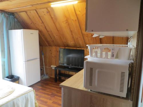 a kitchen with a white refrigerator and a tv at Sodyba Brazylija in Taraldžiai