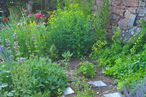 a garden with many different flowers and plants at Hotel Burg Arras in Alf