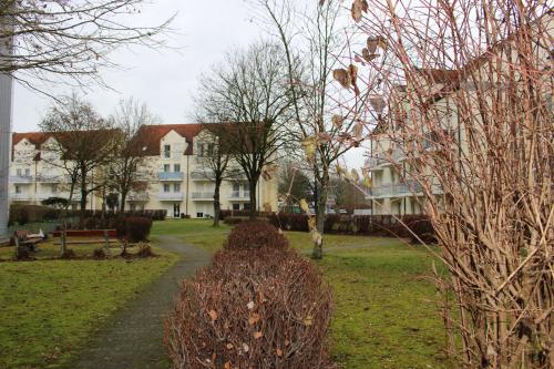 a path in front of a large house with trees at ZV-Scholtz Burghausen Mozartstr, 15 AP-KL in Burghausen