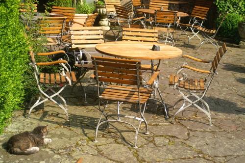a cat laying on the ground next to a table and chairs at Hotel Burg Arras in Alf