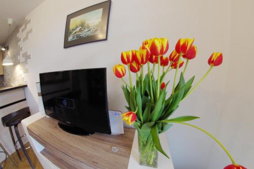 a vase of tulips in front of a tv at Apatramenty Promienista in Poznań