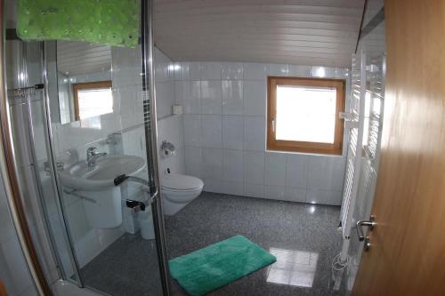 a bathroom with a shower and a toilet and a sink at Ferienwohnung Rigoleth in Disentis