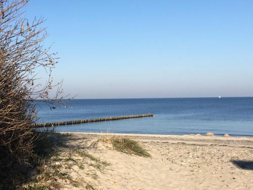 a beach with a pier in the middle of the water at Dünenrose Apartment 7 in Börgerende-Rethwisch