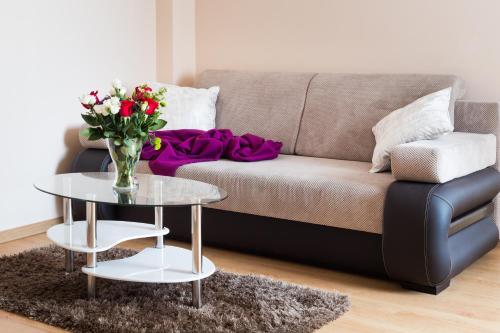 Afbeelding uit fotogalerij van ApartHouse Apartamenty Centrum FREE PARKING in Sosnowiec