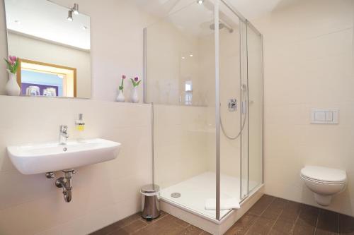 a bathroom with a shower and a sink and a toilet at Hotel Daimerwirt in Moosinning