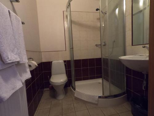 a bathroom with a shower and a toilet and a sink at Hotel Madona in Madona