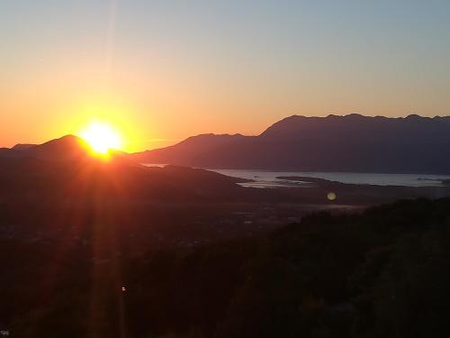 Gallery image of Forest Apartments in Kotor