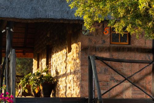 a shadow of a building with a window and plants at Olive Tree Farm in Magaliesburg