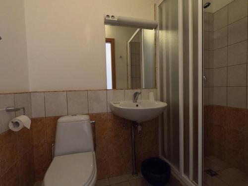 a bathroom with a toilet and a sink and a mirror at Hotel Madona in Madona