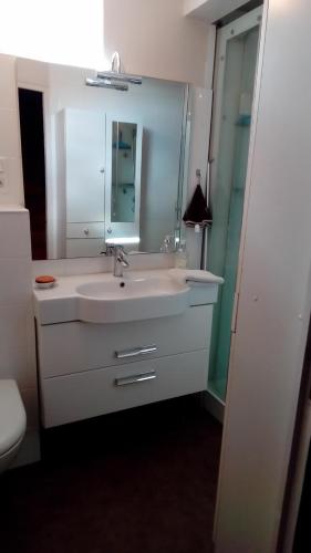 een badkamer met een wastafel en een spiegel bij Chambres des Noels in Faye-dʼAnjou