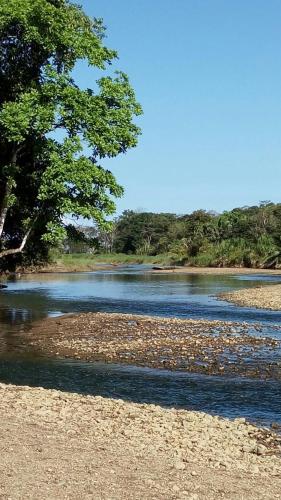 a river with a tree on the shore at Hotel Jhazmin Aeropuerto in Drake