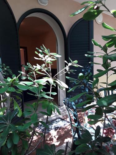 Gallery image of B&B Villa Archegeta in Giardini Naxos