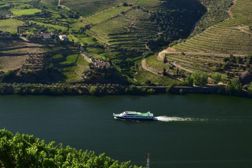 a boat on the water in a river with vineyards at Casas de Pousadouro in Baião
