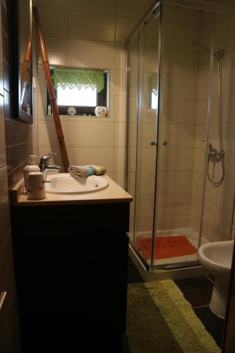 a bathroom with a sink and a shower at Palheiro da Tocha in Tocha
