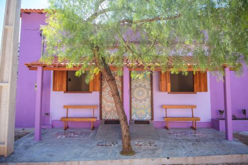 a purple building with two benches in front of a tree at Canto do Rio Pousada in Vargem Bonita