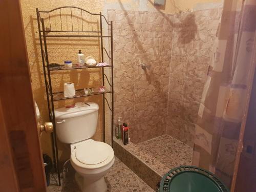 a bathroom with a toilet and a shower at Río Apartment City Center in Quetzaltenango
