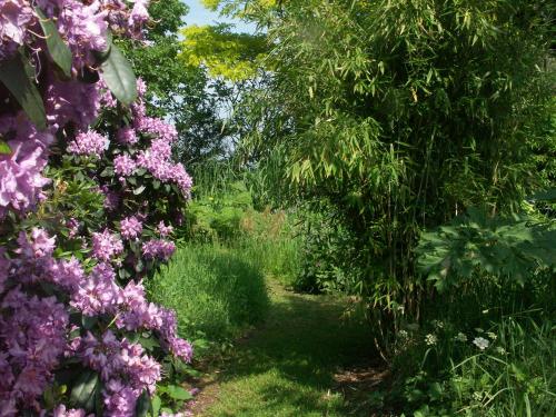 a garden with purple flowers and trees at Selatuinen in Appelscha