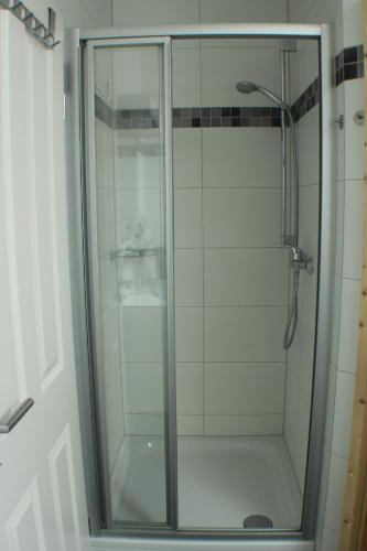 um chuveiro com uma porta de vidro na casa de banho em 5*Ferienwohnung Seeblick 4 em Wendisch Rietz