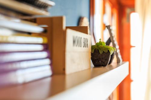a potted plant sitting on a desk next to a book at Apartamentos Turísticos Architettura Úbeda in Úbeda