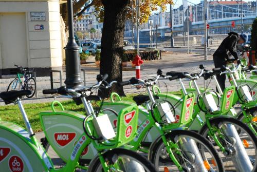 een rij groene fietsen geparkeerd naast een boom bij Hotel Orion in Boedapest