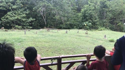 Tetamu yang menginap di RTMS Guesthouse Semporna